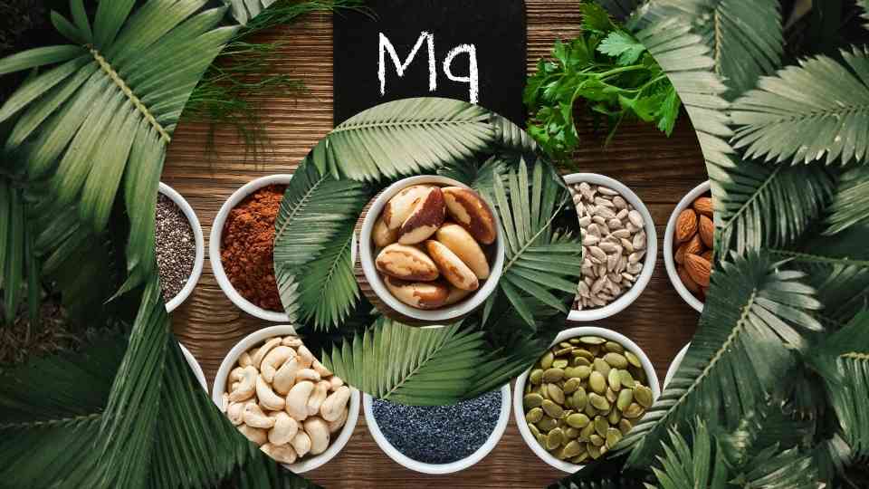 What is Magnesium Good For